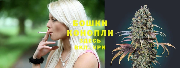 apvp Краснослободск