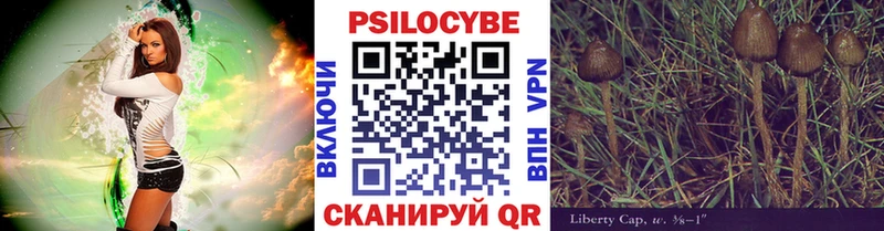 omg как войти сайты даркнета официальный сайт Псилоцибиновые грибы MAGIC MUSHROOMS Певек